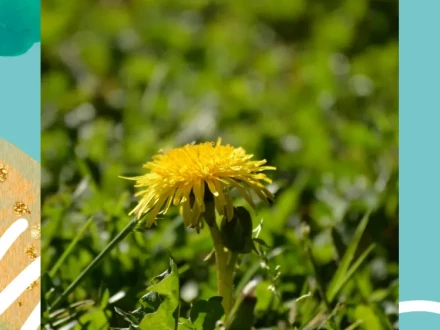 PEPP smabarn det vi sar idag har en inverkan pa framtiden