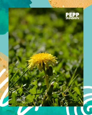 PEPP smabarn det vi sar idag har en inverkan pa framtiden