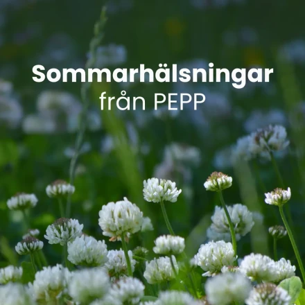 Sommarhalsningar