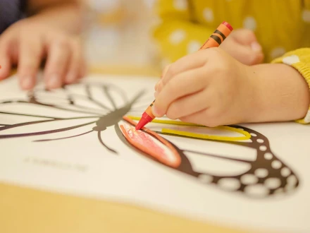 lucas alexander sJuDgtkUyYs unsplash